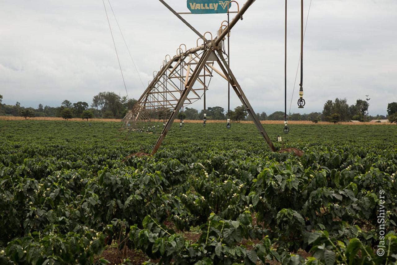 Weru Weru River Lodge מראה חיצוני תמונה