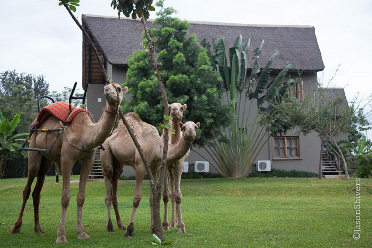 Weru Weru River Lodge מראה חיצוני תמונה