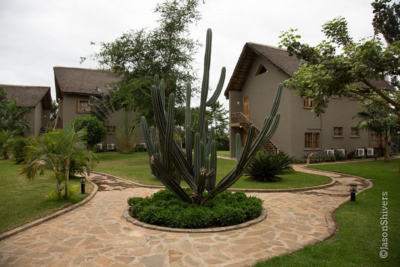 Weru Weru River Lodge מראה חיצוני תמונה
